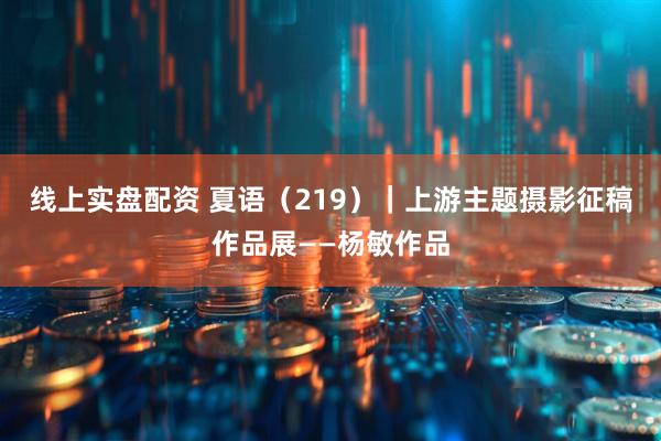 线上实盘配资 夏语（219）｜上游主题摄影征稿作品展——杨敏作品